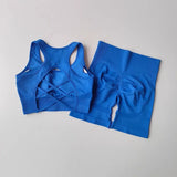2 PCS Women's Seamless Yoga Set Sexy Sport