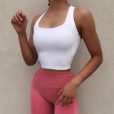 Seamless Sports Bra Seamless Sports Bra Sexy