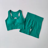 2 PCS Women's Seamless Yoga Set Sexy Sport