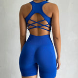 2 PCS Women's Seamless Yoga Set Sexy Sport