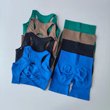 2 PCS Women's Seamless Yoga Set Sexy Sport