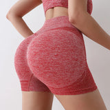 Seamless Women's Butt Lifting Yoga Shorts