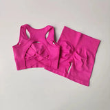2 PCS Women's Seamless Yoga Set Sexy Sport